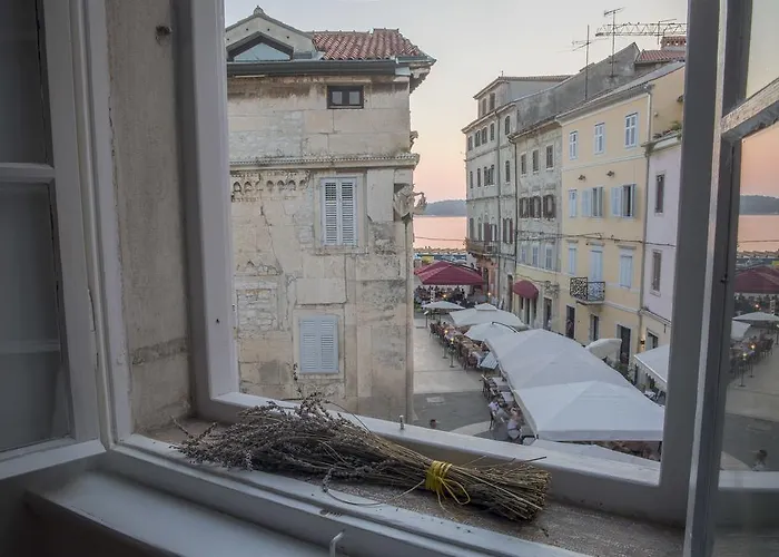 Apartment Apartments Forum